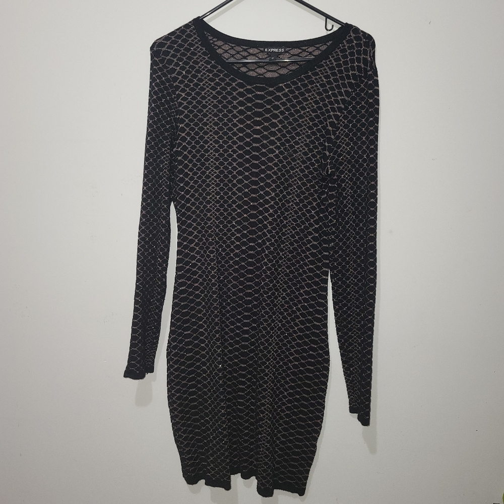 Express sweater dress